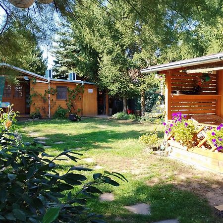 Penzion Slunce Nad Vinnym Sklepem Moravska Nova Ves Exterior foto