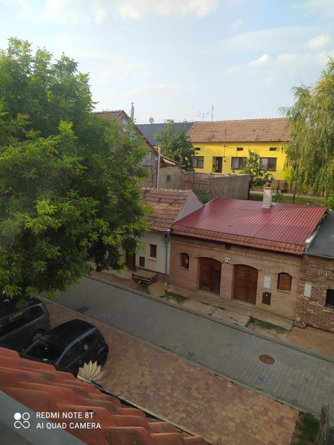 Penzion Slunce Nad Vinnym Sklepem Moravská Nová Ves Exterior foto